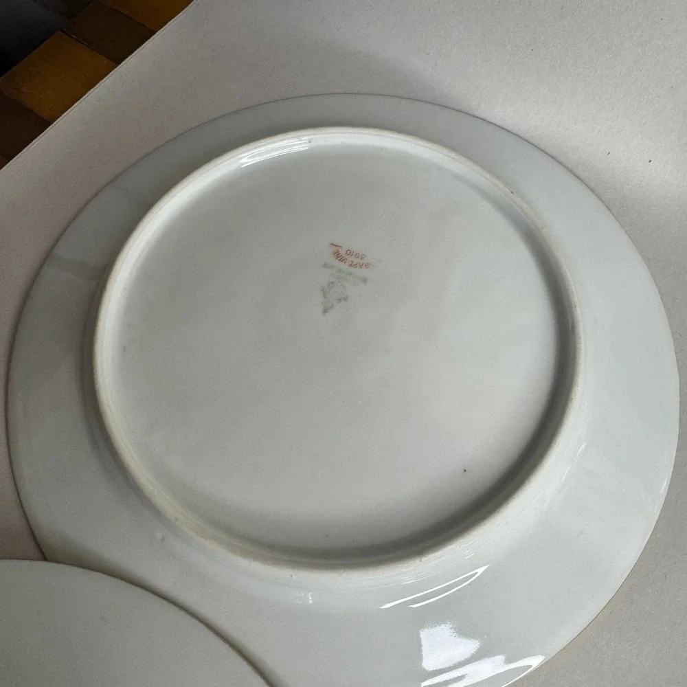 PT Bavaria Tirschenreuth Grape Vine 3910‎ Salad Plates Gold Trim Set of 4